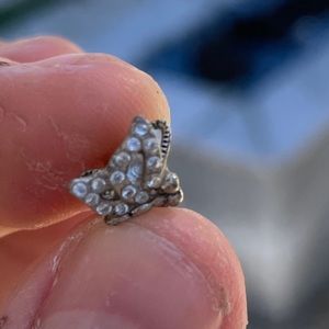 Juicy Couture Butterfly Earrings